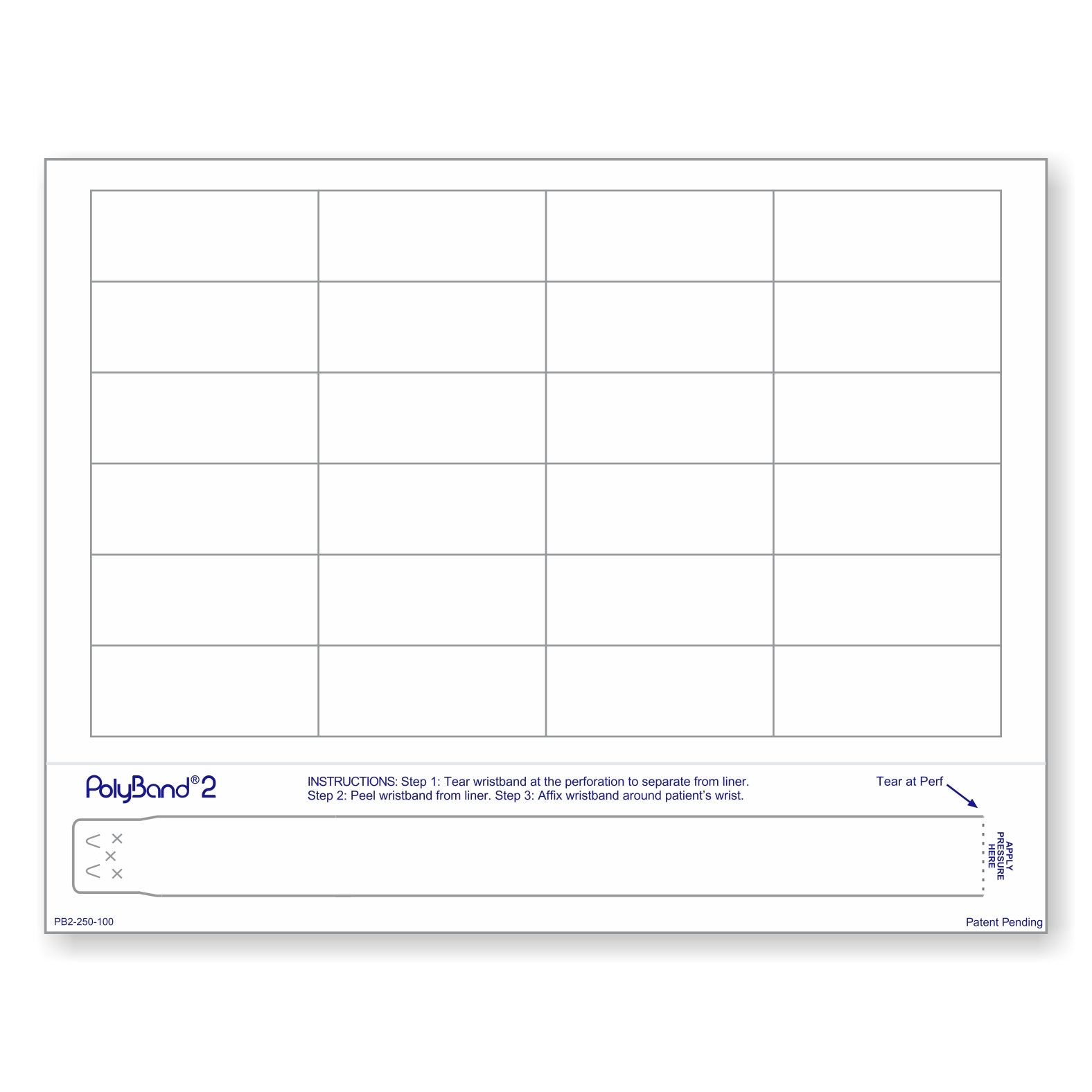 PolyBand & 24 Labels per Sheet, Measuring 2.5 x 1". SKU: PB2-250-100