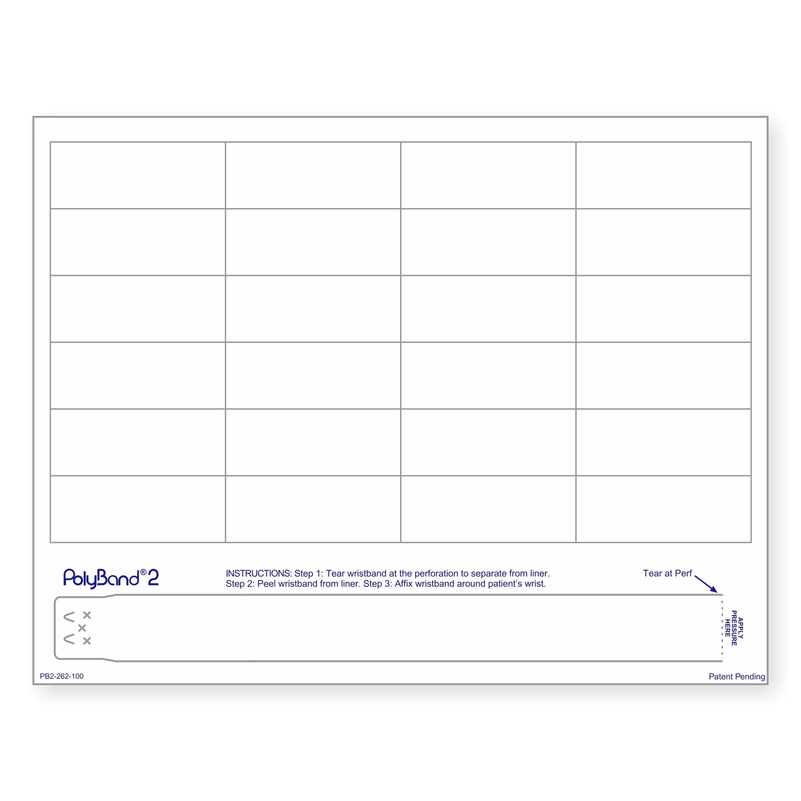 PolyBand & 24 Labels per Sheet, Measuring 2.625 x 1". SKU: PB2-262-100