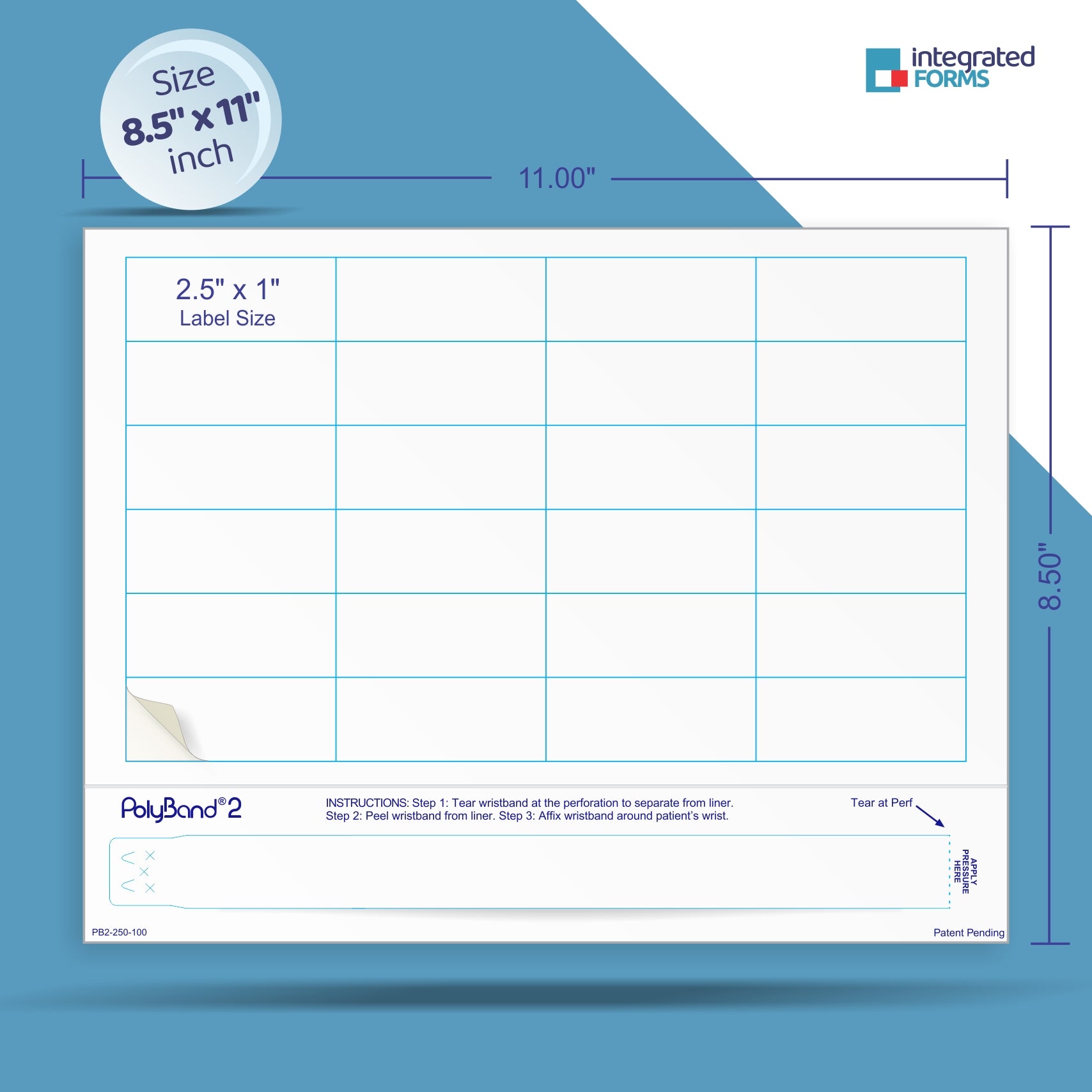 PolyBand & 24 Labels per Sheet, Measuring 2.5 x 1". SKU: PB2-250-100