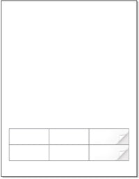 6 Labels - 2.5" x 1" SKU: IF1005